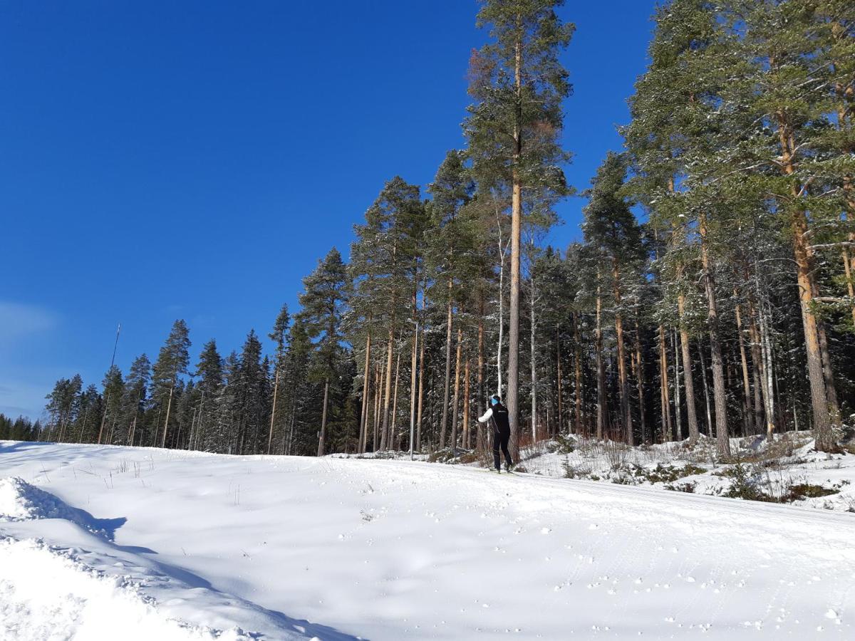 Skelleftea Camping Kültér fotó